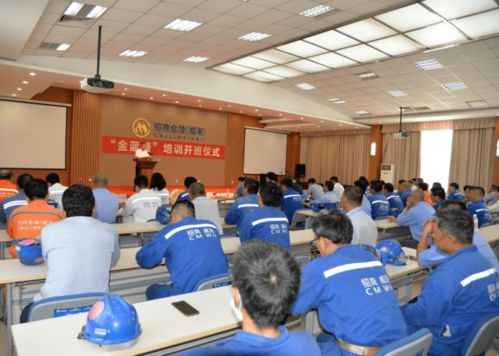 信息技術咨詢服務賦能就業 市人社局以精準服務促更高質量更充分就業